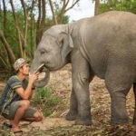 Слонёнок в Elephant Jungle в Паттайе